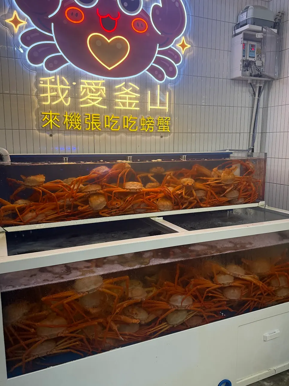 The owner catching a crab from the tank