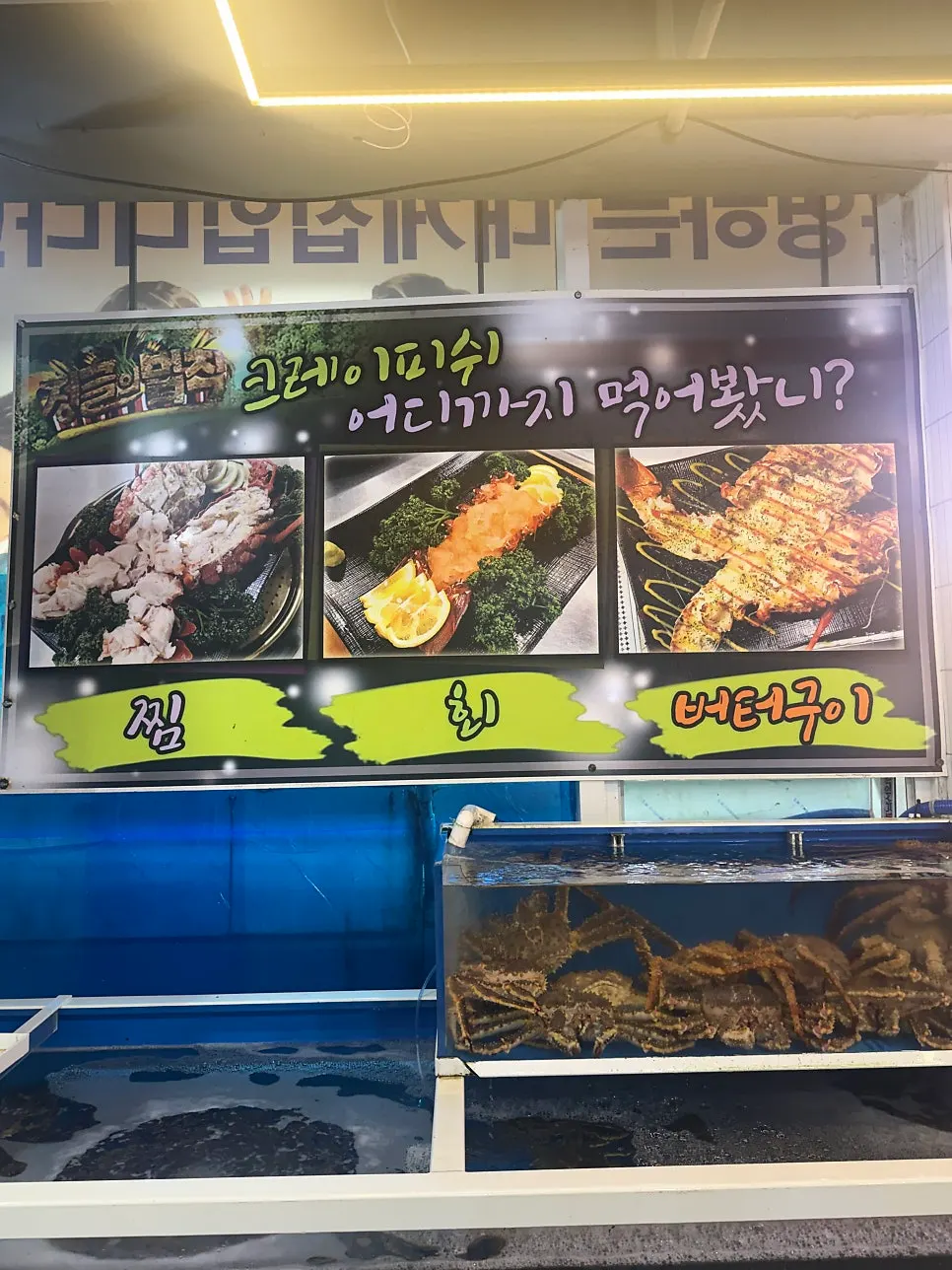 King crab and red crab in the tank