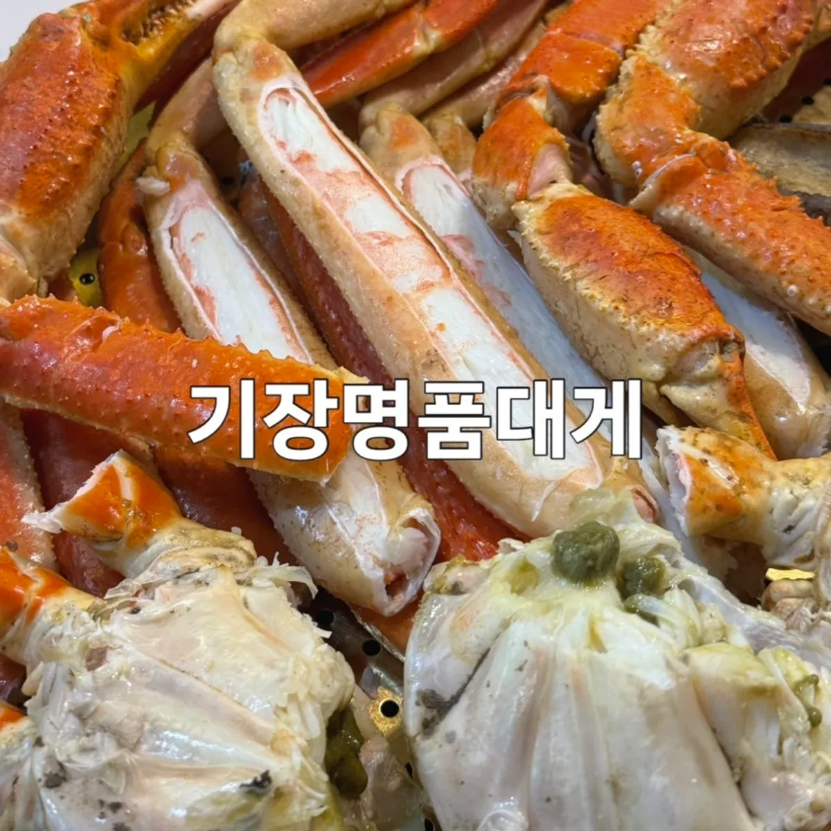 Main photo of Gijang Myeongpum Daegae on Gijang Market's crab street in Busan