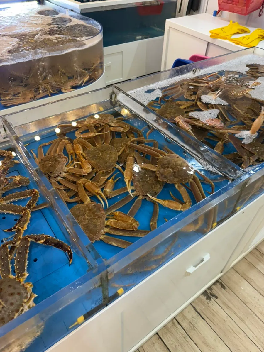 Snow crabs in the tank at Gijang Myeongpum Daegae