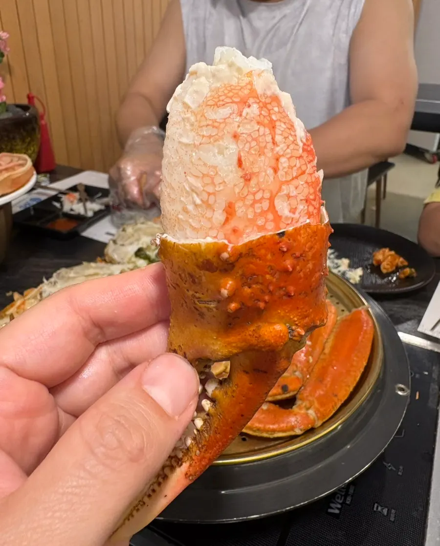 Crab legs packed with meat, showing the yield