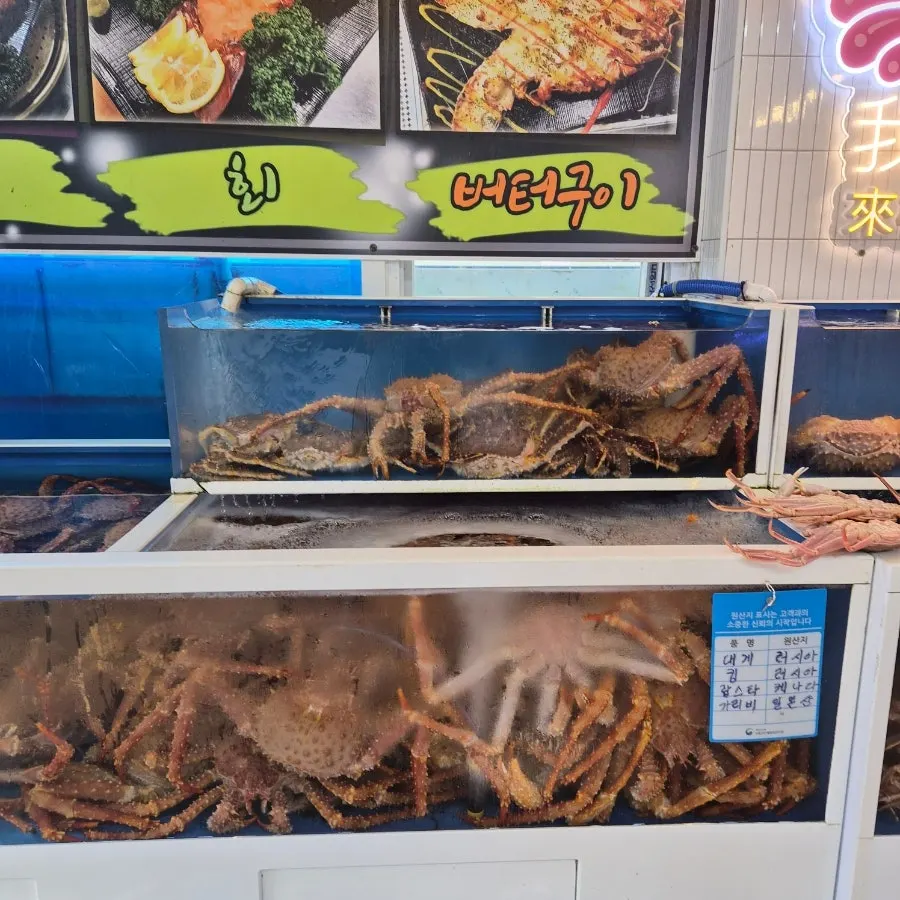 수족관에 담긴 대게와 킹크랩
