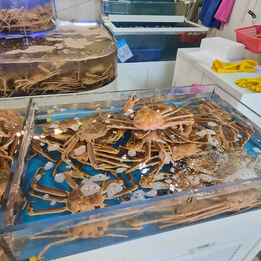 북해도산·러시아산 대게가 있는 수조