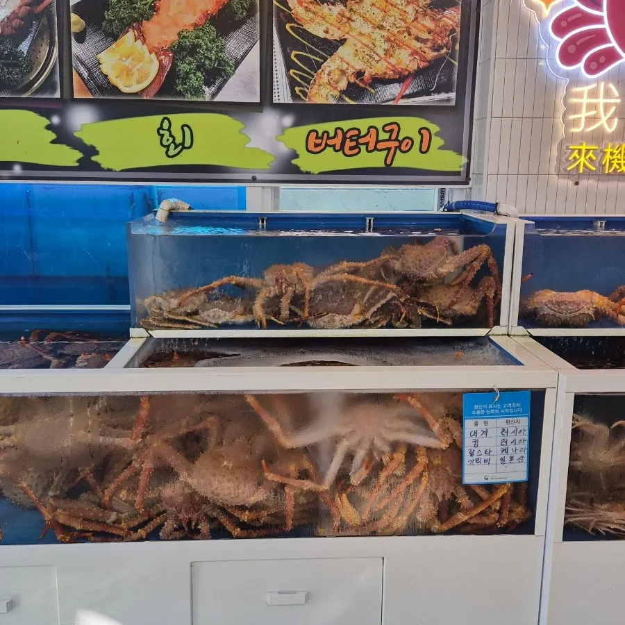 가게 안을 채운 대게와 킹크랩 수조