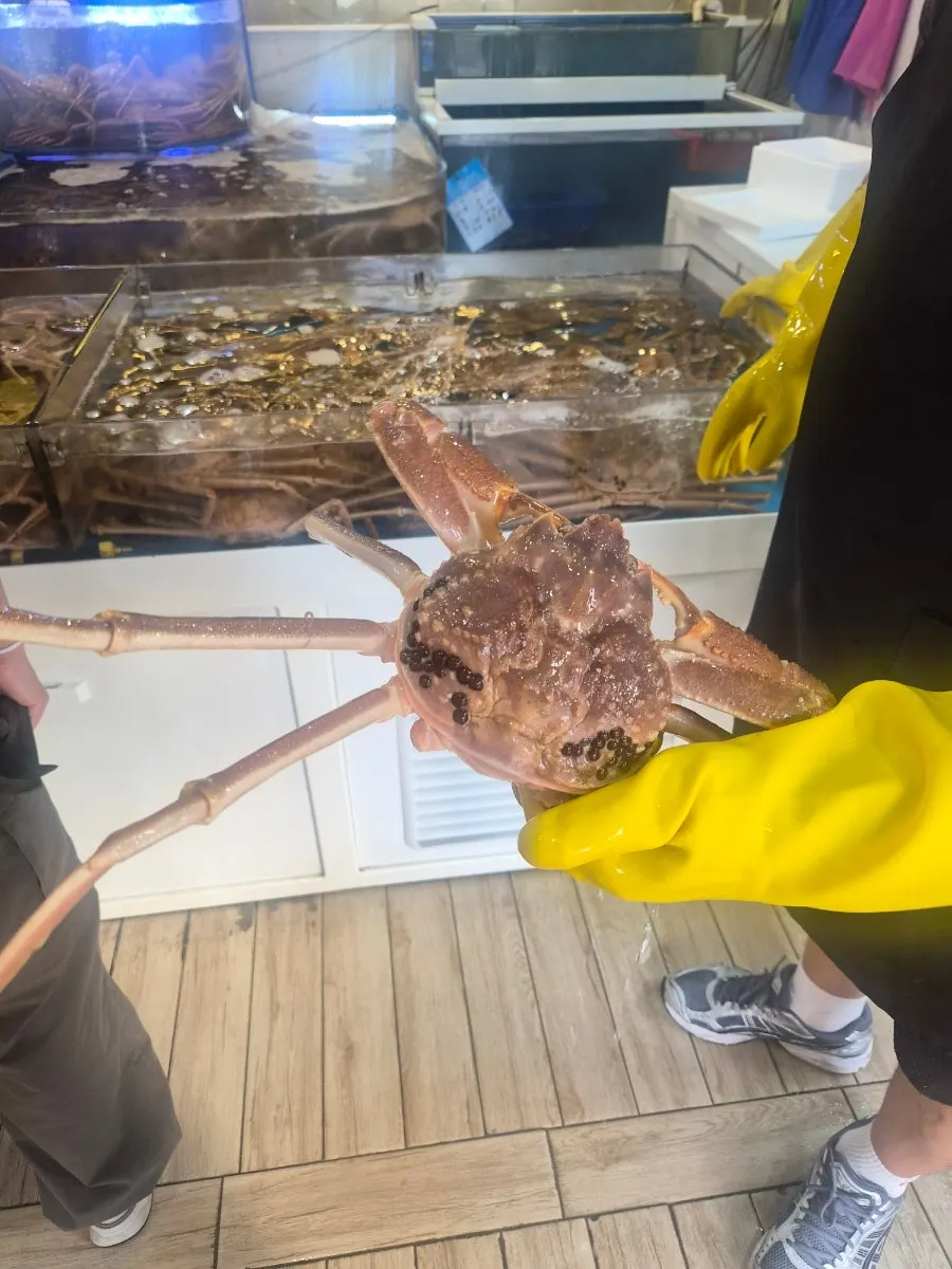kg당 85,000원 러시아산 대게