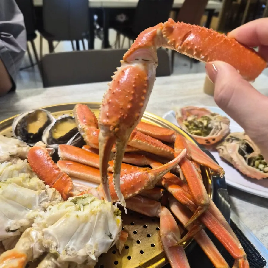 살이 꽉 찬 대게 다리 단면