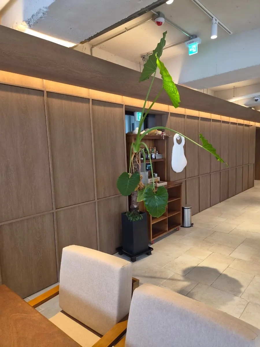 Comfortable seating spot for a long stay