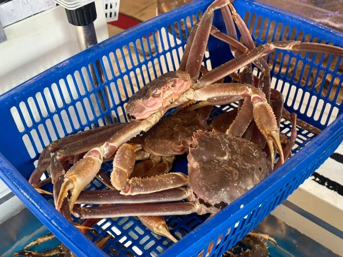 기장명품대게 대게 한 상 대표 사진