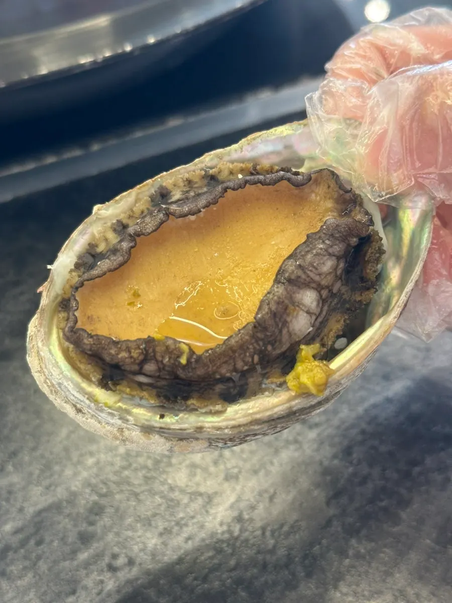 서비스로 나온 전복 구이