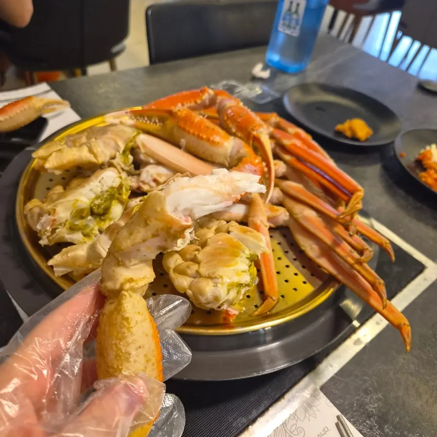 Holding a crab claw with disposable gloves on