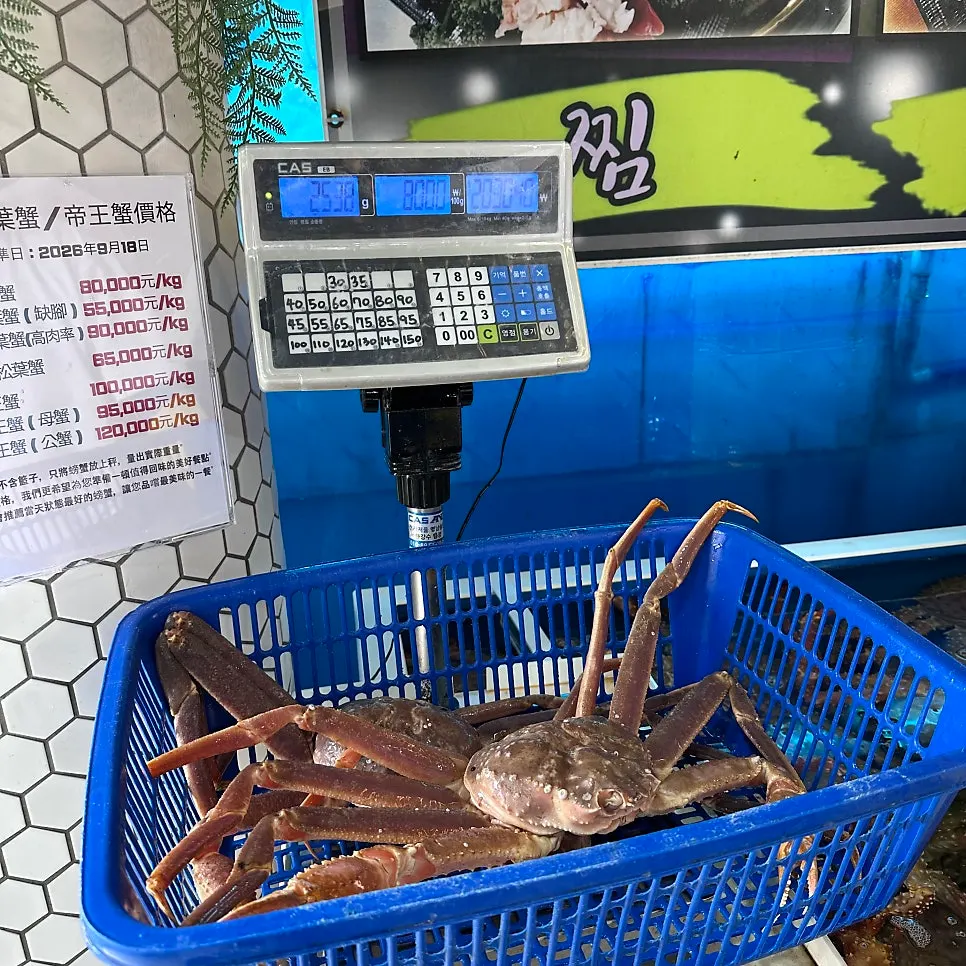 Snow crab in a basket being weighed