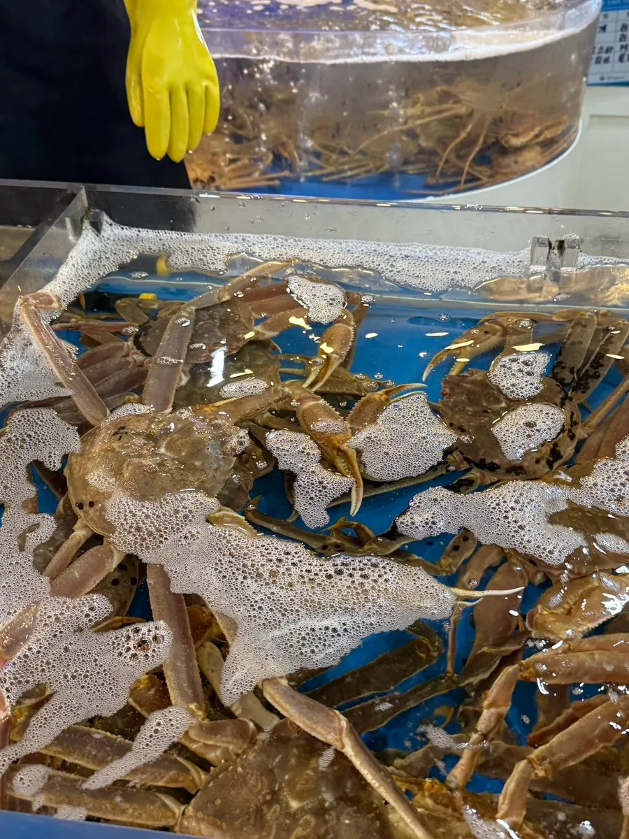 기장명품대게 저울과 대게 선택 과정