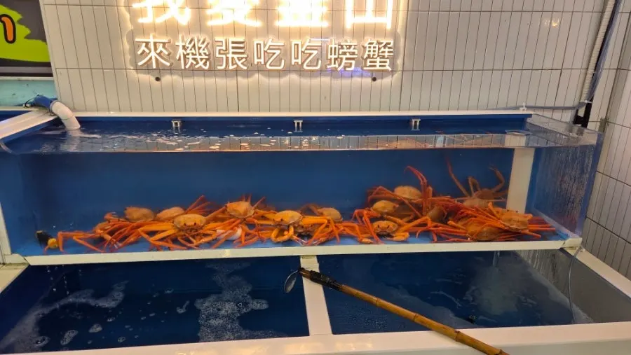 Large tank packed full of crab