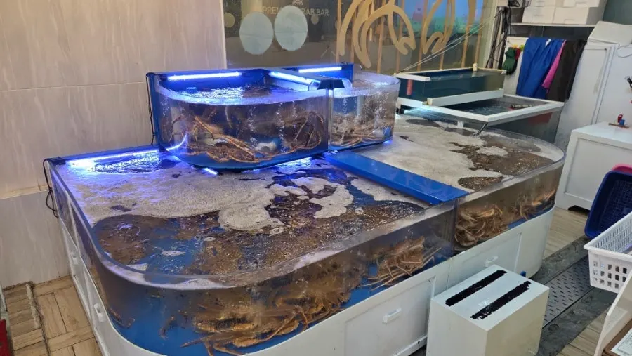 View of the tank area inside the restaurant