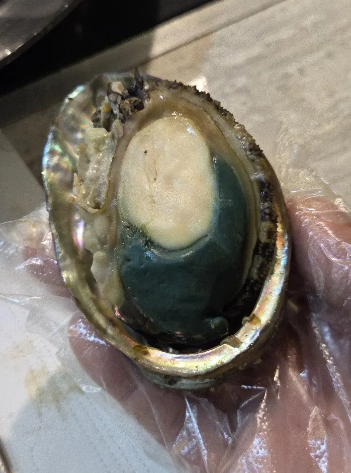 Large complimentary abalone served on the side