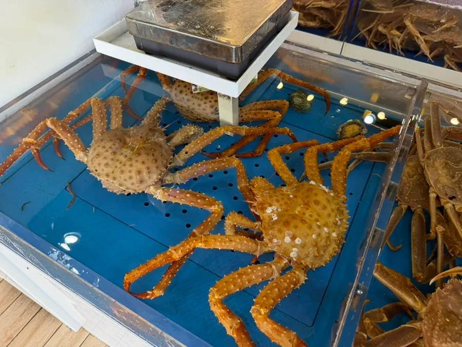 Checking the weight of the two chosen snow crabs