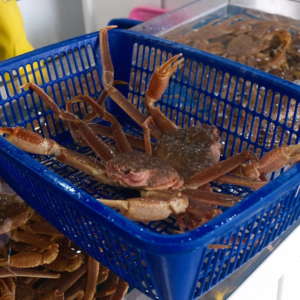 Storefront in Gijang Market's crab alley