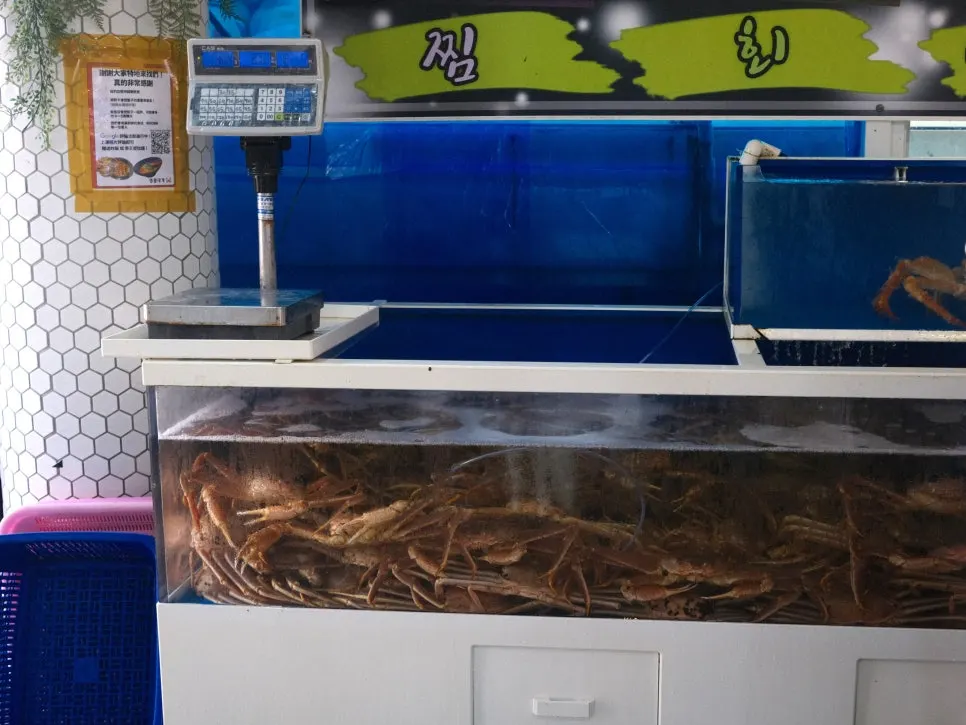 Tank filled with snow crab, king crab, and red snow crab