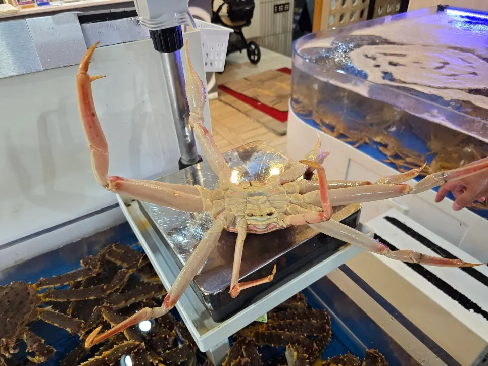 Wide view of the snow crab tanks near the entrance