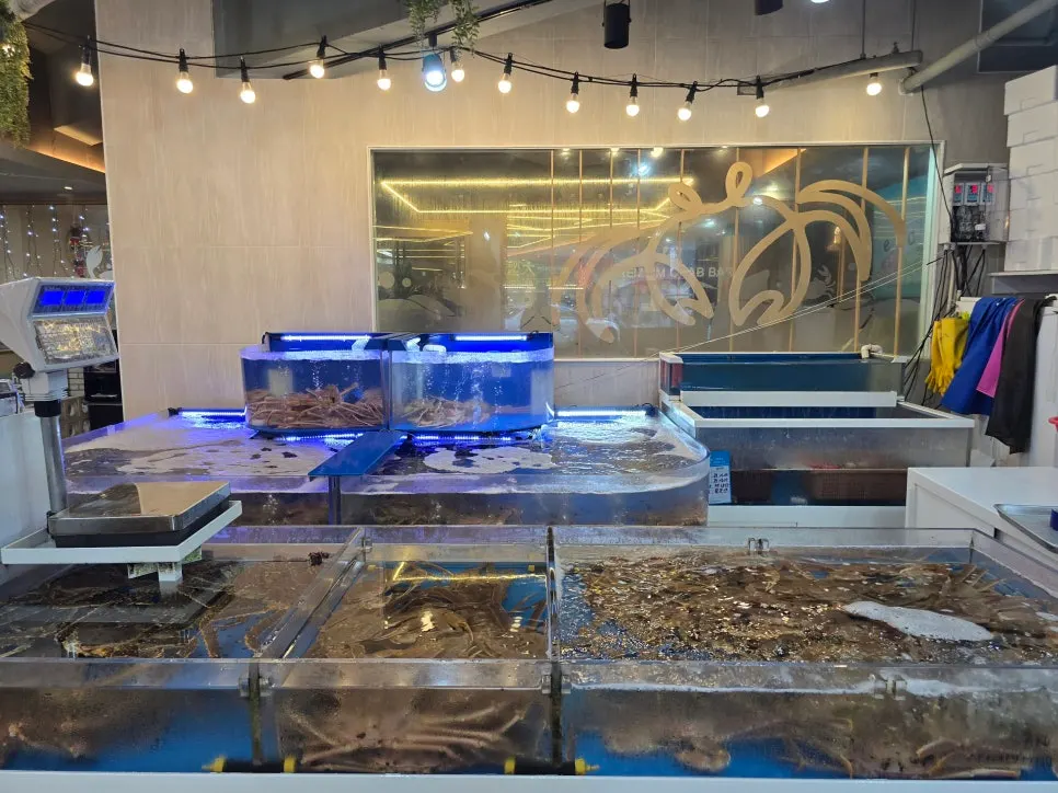 Tank holding live king crab