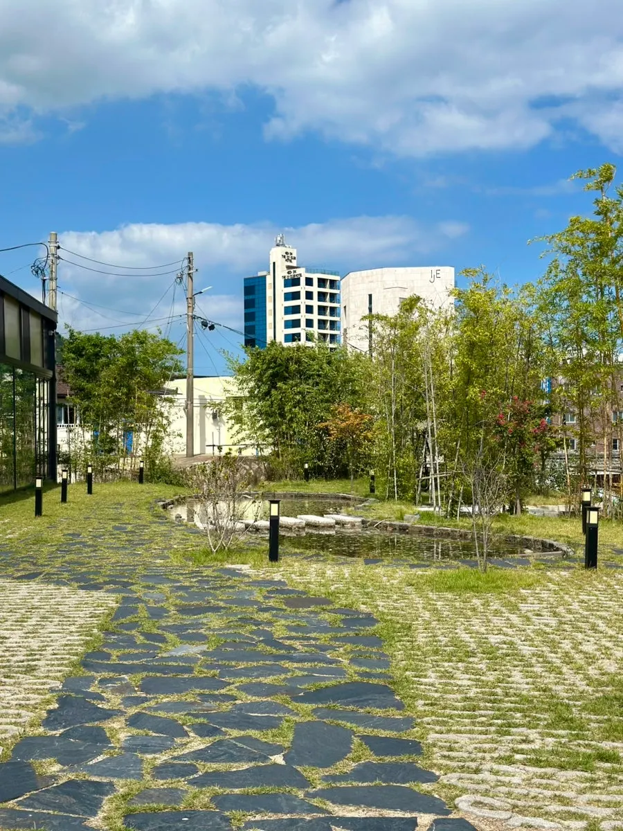 木々と小さな池がある庭園