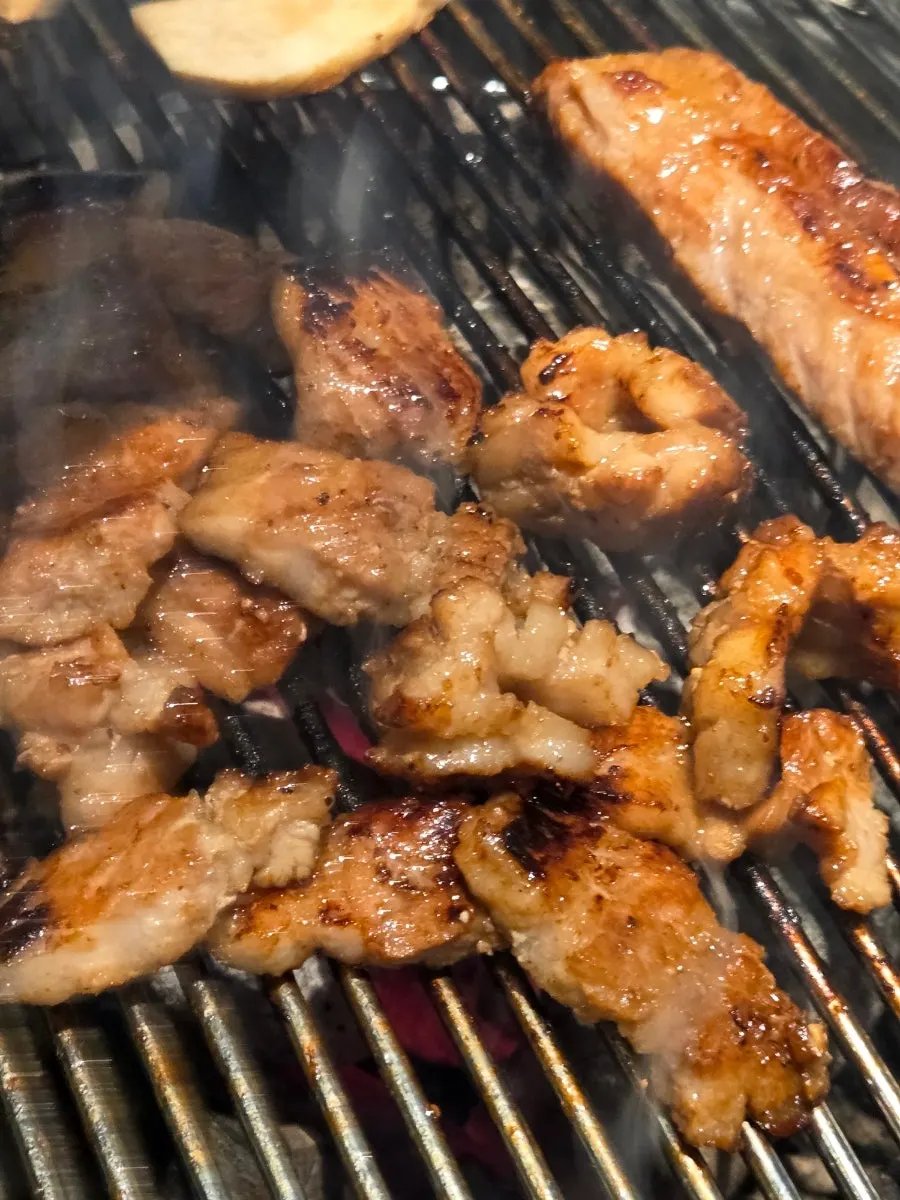 A well-grilled piece of marinated pork rib