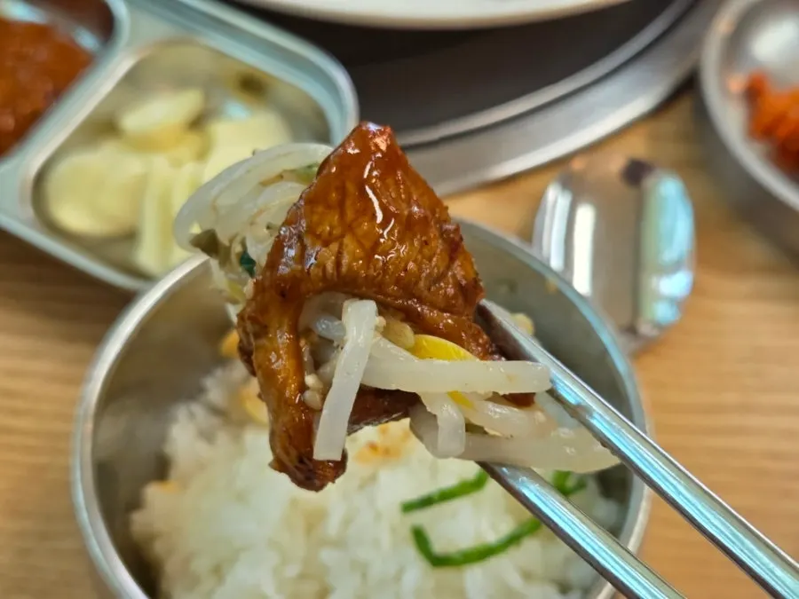A plate of grilled meat garnished with onions and scallions