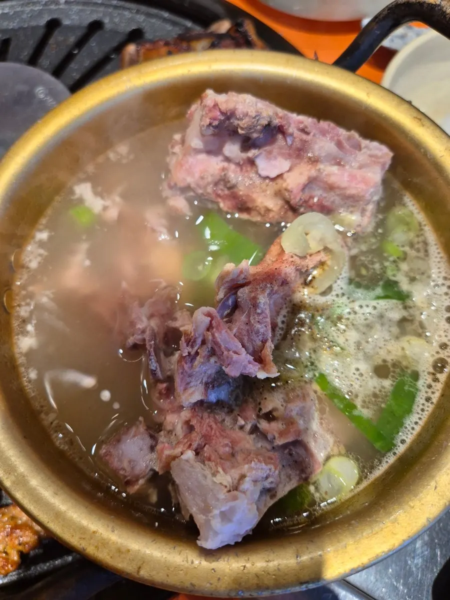 A bone from the soup with meat still attached