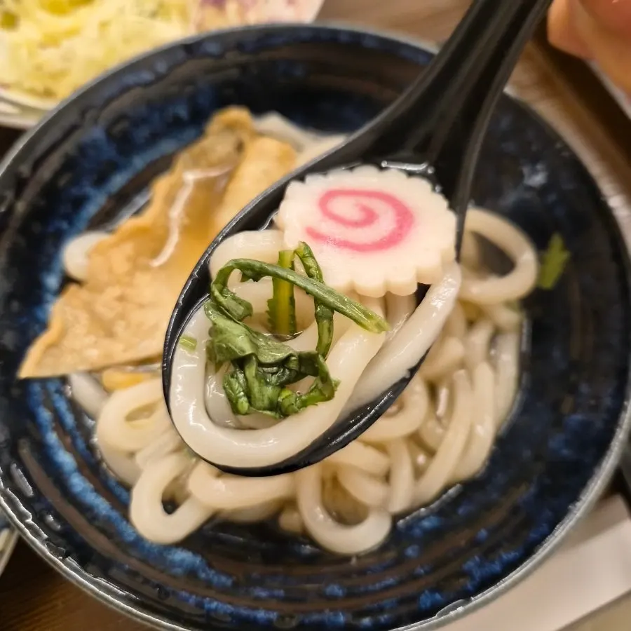 우동 면을 건져 올린 모습