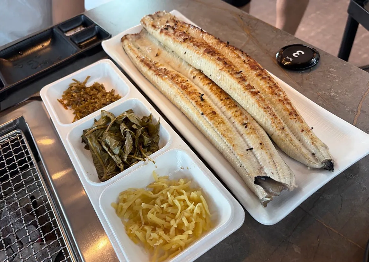 Plate of thick, plump 1kg freshwater eel