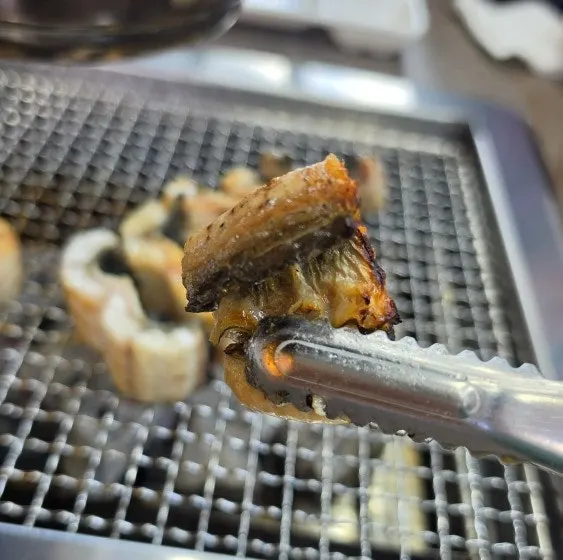 A well-grilled piece of freshwater eel