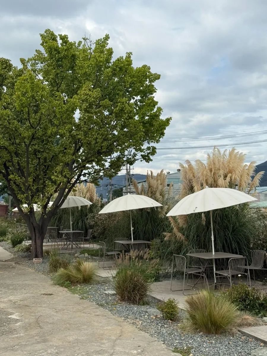 Outdoor pampas grass at Peer a Peer in full bloom in mid-September
