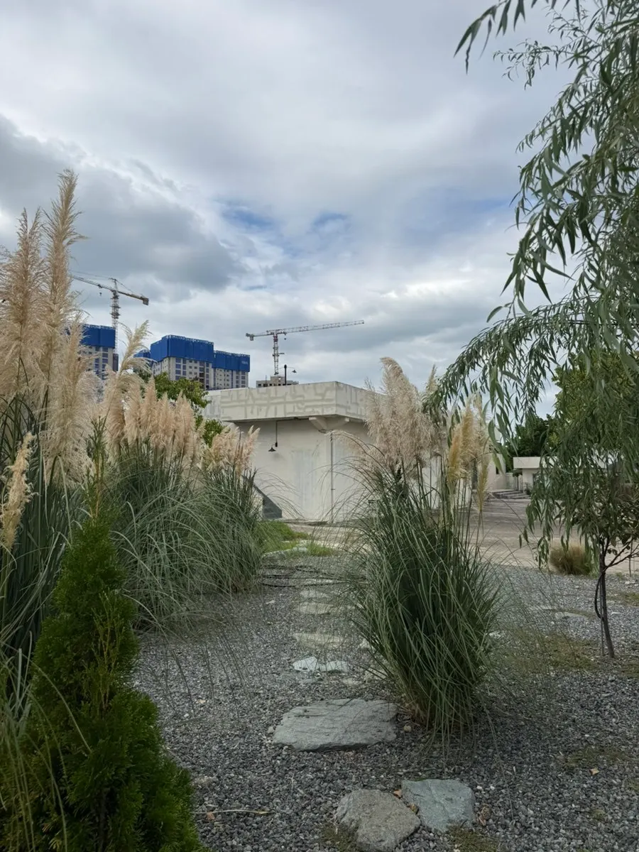 Outdoor tables where you can sit and view the pampas grass