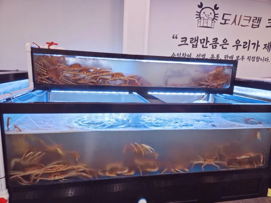 도시크랩 김해점 매장 내 홍보 게시물