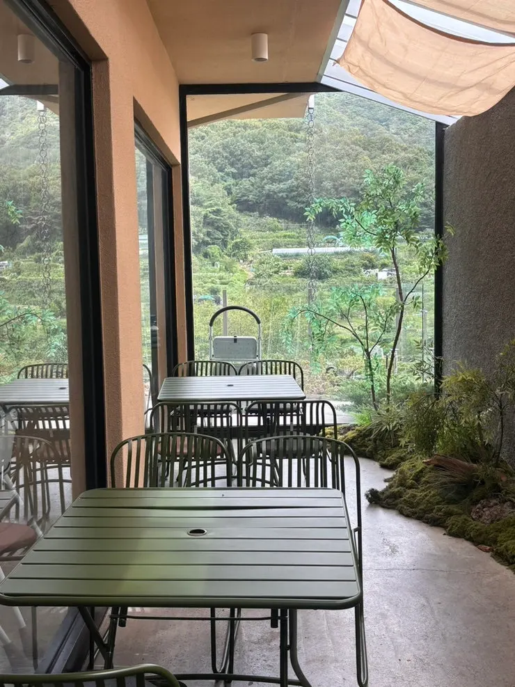 Café space with dog cushions ready
