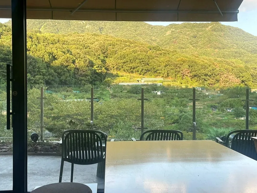 Green mountain scenery seen through the window