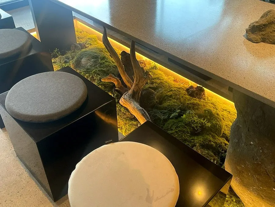 Yu Yu Yu outdoor seating with mountain view