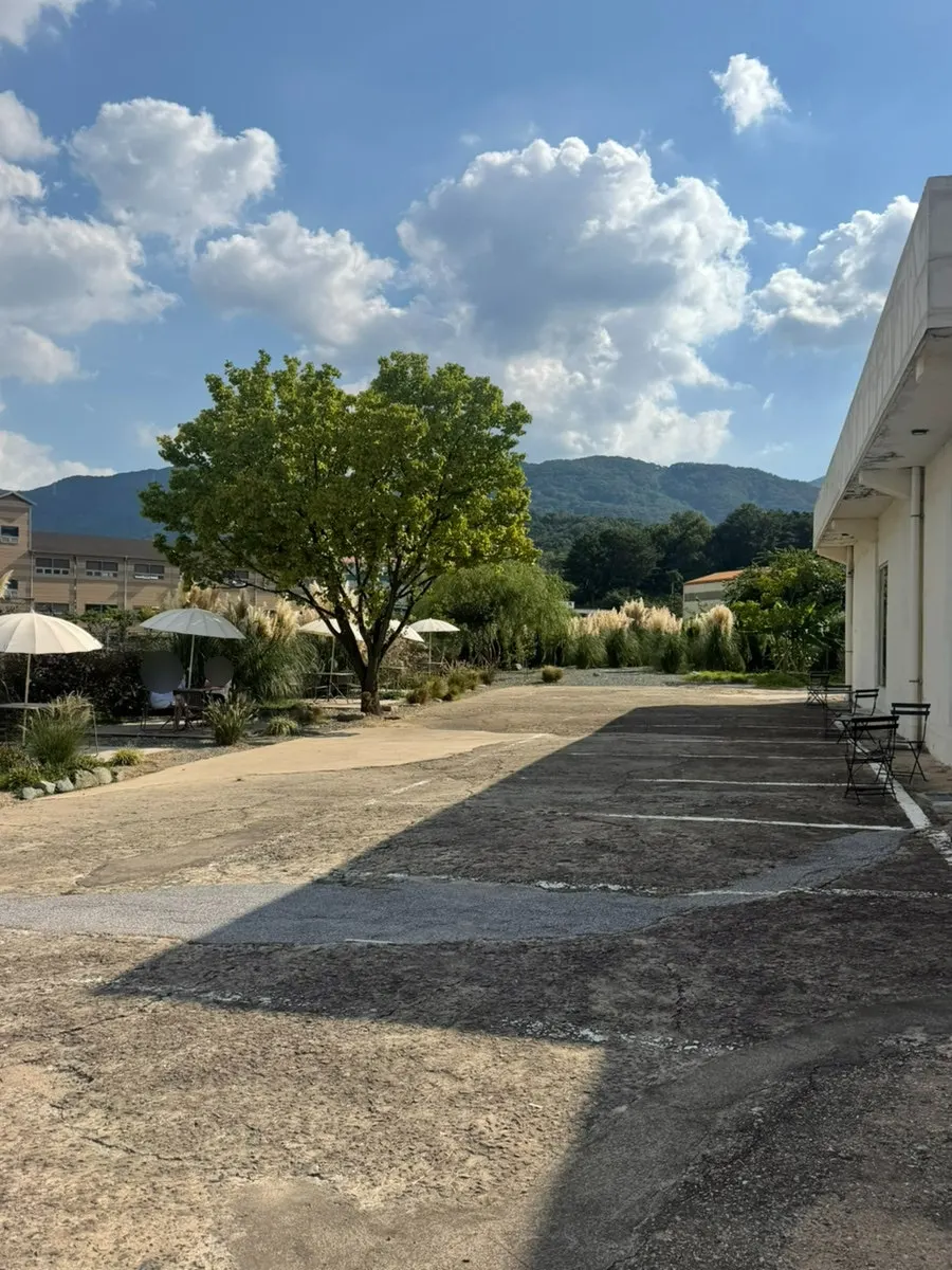 Outdoor terrace and pampas-grass photo spot