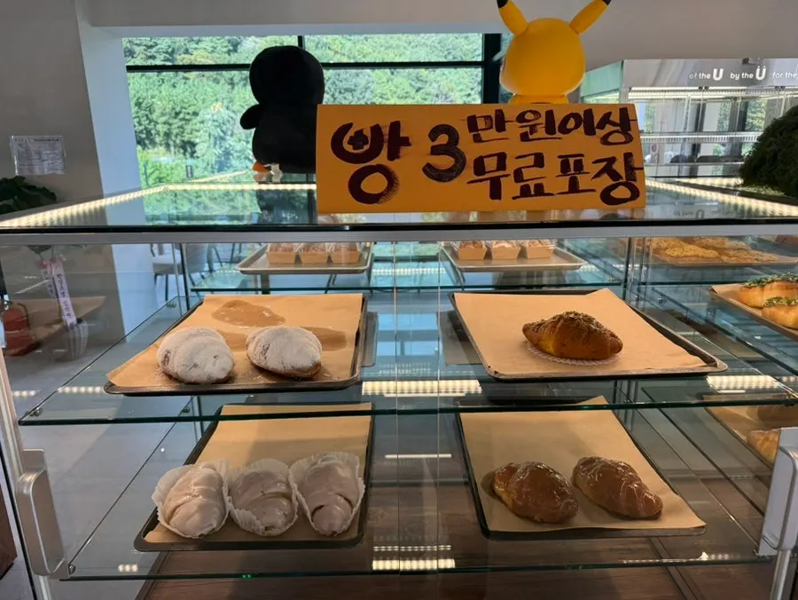 Display case with salt bread and almond croissants