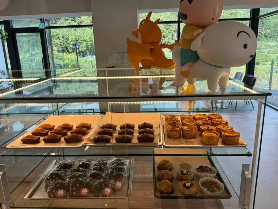 Bread displayed inside individual cases