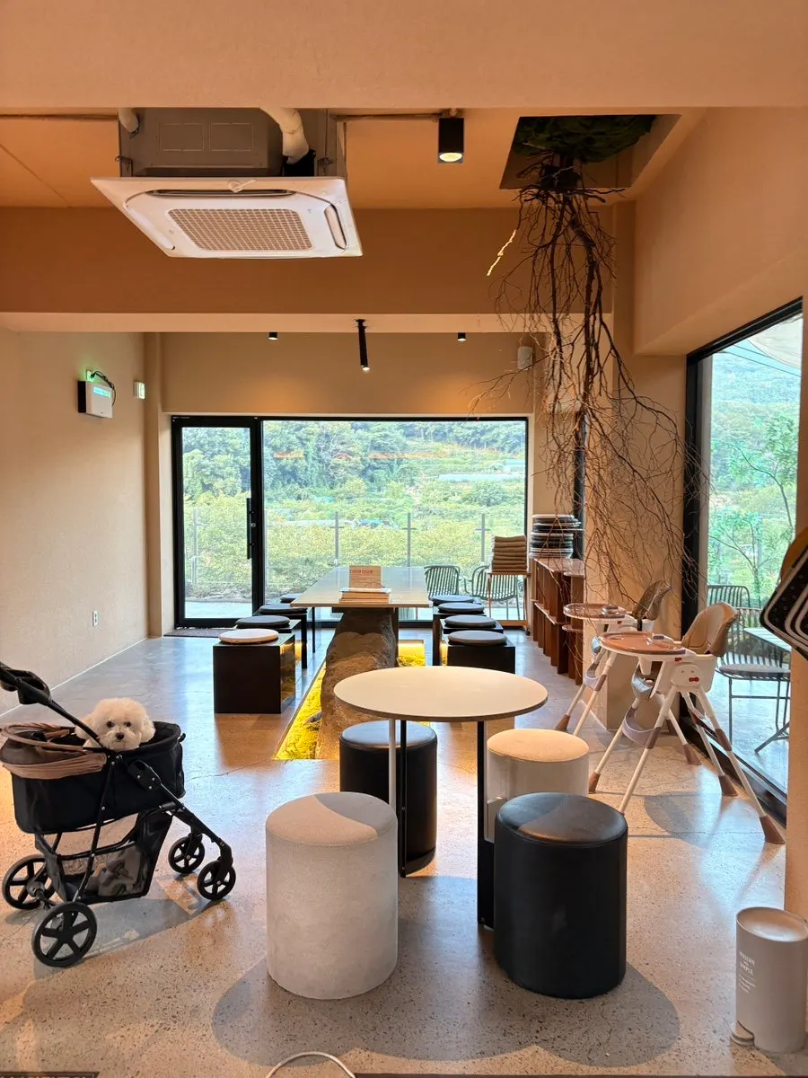 Dog-friendly seating on Yu Yu Yu's first floor