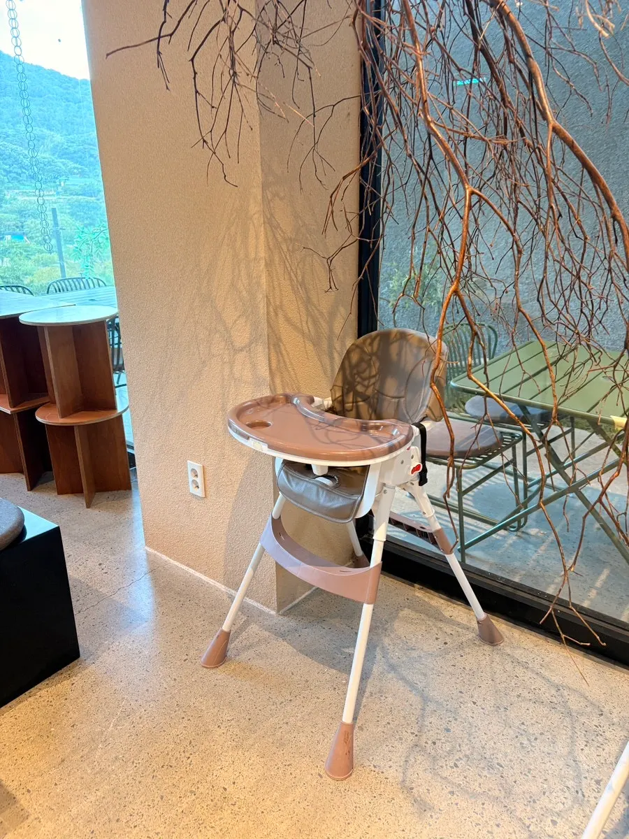 A dog resting on the first floor of Yu Yu Yu