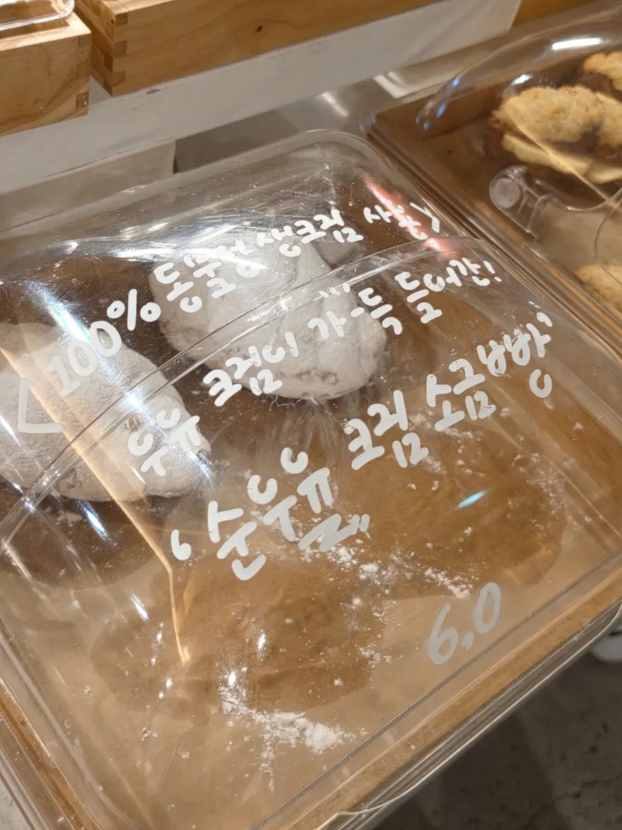 플레인스콘 진열 모습