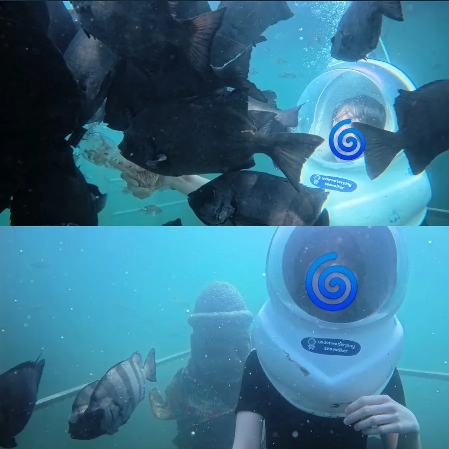 Jeju sea-walking experience wearing a special helmet