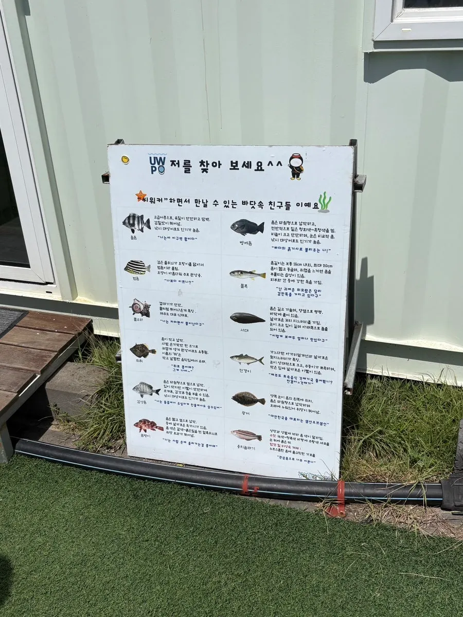 Exterior of the sea-walking site near Gimnyeong Port