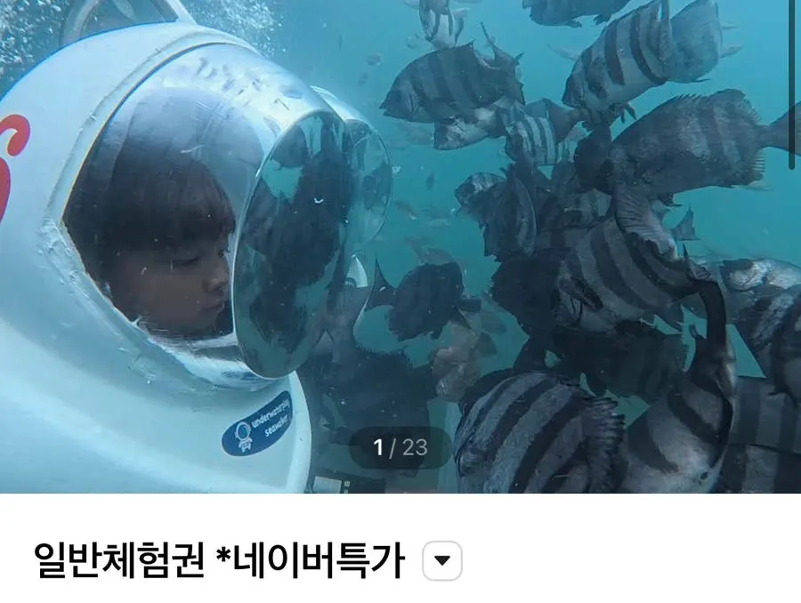 Underwater Play sea-walking experience program guide