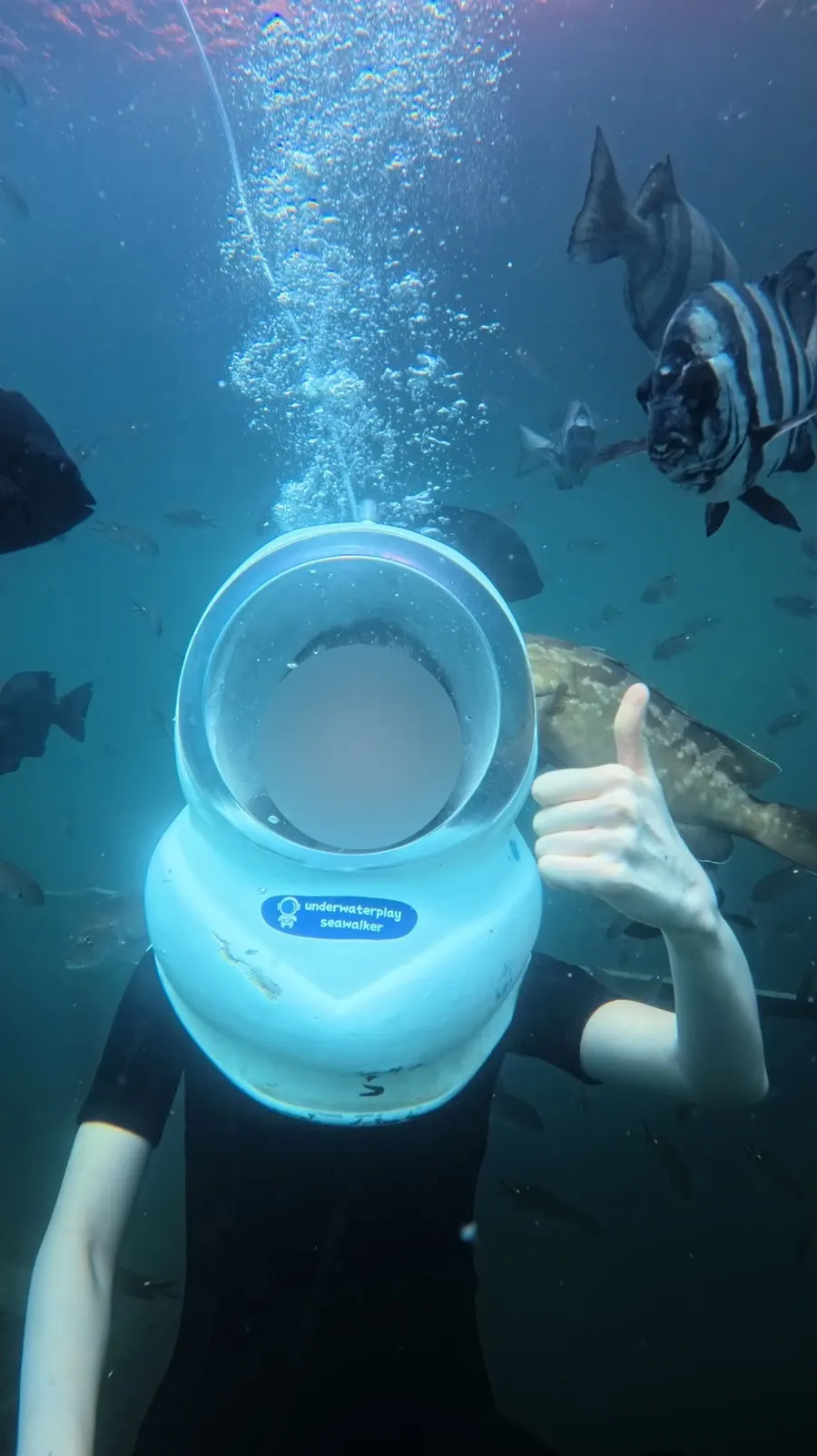 Ocean sea-walking experience with instructor care