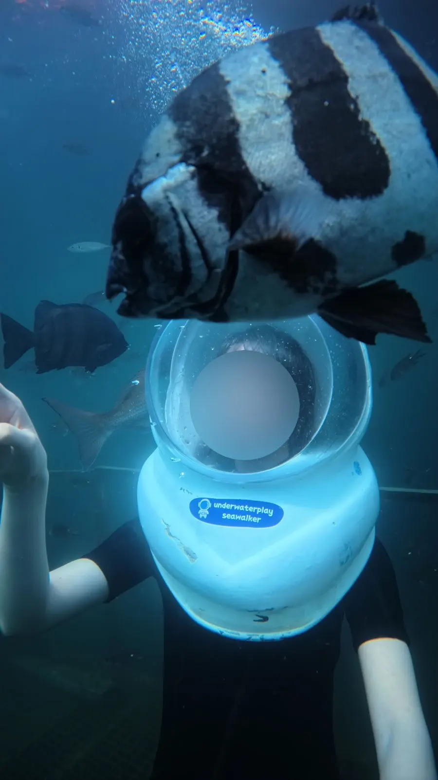 Underwater experience wearing a special helmet