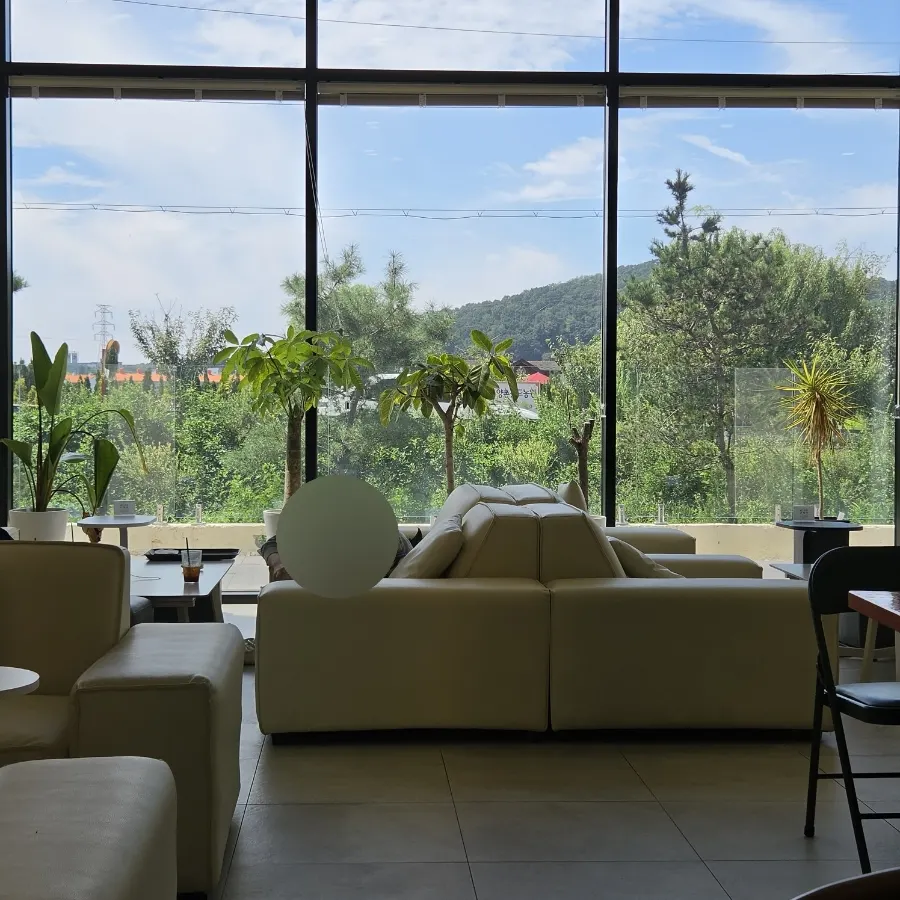 Sunny window seating