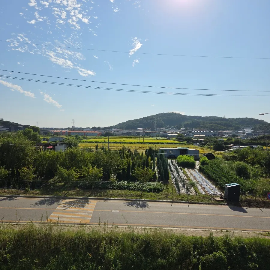 Scenery near The Nillai café